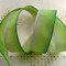 The Ribbon People Spring Green and White Ombre Wired Craft Ribbon 0.75" x 54 Yards